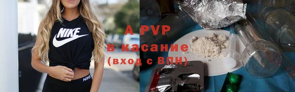 сатива Абаза