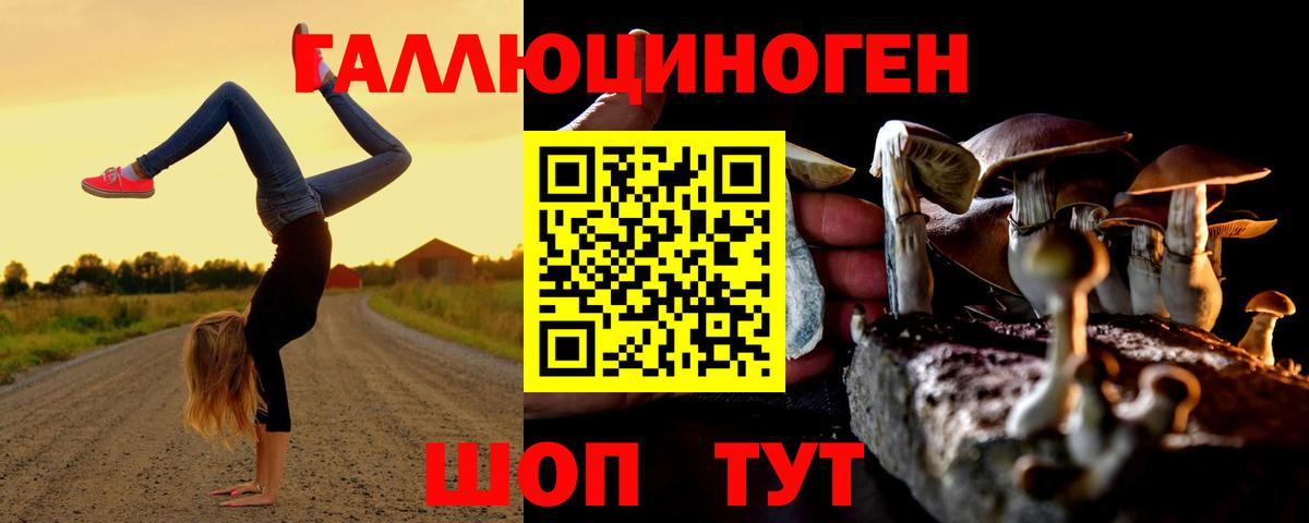 Заводоуковск  Галлюциногенные грибы Magic Shrooms  Вход с VPN  Галлюциногенные грибы Cubensis 